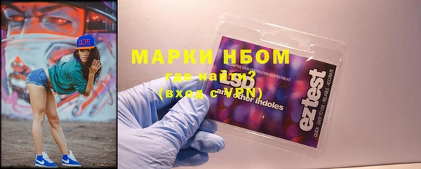 индика Заволжье
