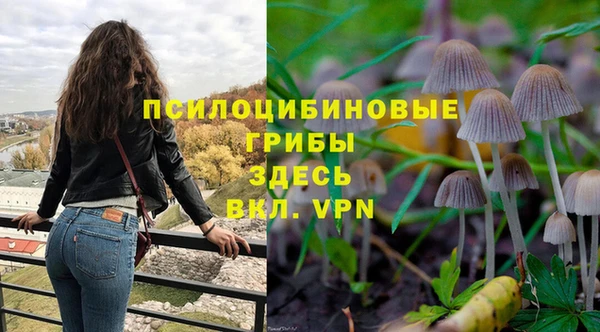 ешки Абдулино
