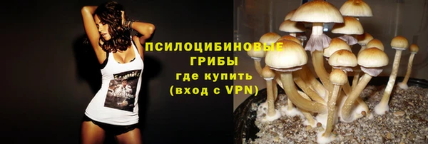 МДПВ Абаза